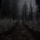 𓋼𖤣𖥧⊱LøstSøūl_Grøvē⊰𖥧𖤣𓋼 Discord Server Banner