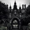 The Forewood Discord Server Banner