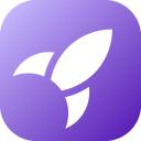 Rux Language Discord Server Banner