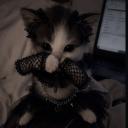 Dreamypaws Icon