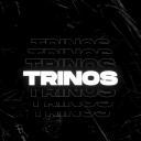 TRINOS Discord Server Banner