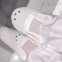 pet Discord Server Banner