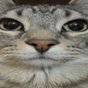 Alien gang 👽🙏 Discord Server Banner