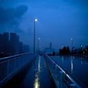 Community Den Discord Server Banner