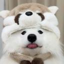 paws Discord Server Banner