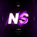 NS Leaves Discord Server Banner