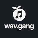 WAV GANG Discord Server Banner