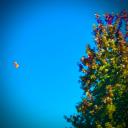 Odd Teens Discord Server Banner