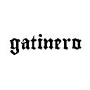 Gatinero: Presets Community Discord Server Banner