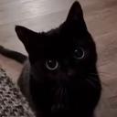 /noir | 100+ Guilds Discord Server Banner