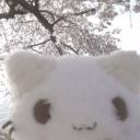 The Cozy spot Discord Server Banner
