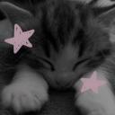 Looking for a gf Discord Server Banner