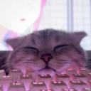 RTC Bağlanıyor... Discord Server Banner