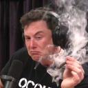 ELON MUSK Fan Club | Discord Me