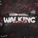 WALKING SYST Icon
