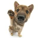 fins cafe Discord Server Banner