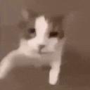 freakster central Discord Server Banner