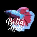 BettaHub Discord Server Banner