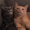 Games "Nashe" Discord Server Banner