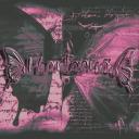 Phantasma Discord Server Banner