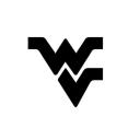 WV075 Icon