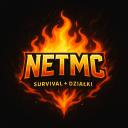 NetMc Discord Server Banner
