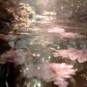 Blossom Lounge Discord Server Banner