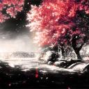 Comunidad social Discord Server Banner