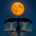 Vision Discord Server Banner