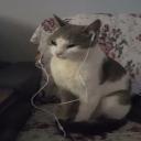 Infinite Playgrounds Discord Server Banner