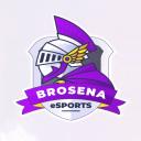 BroSena eSports Discord Server Banner