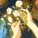 Wallflower Haven Discord Server Banner