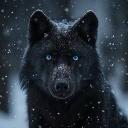 Wolf pack Discord Server Banner