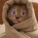 Krol Community Discord Server Banner