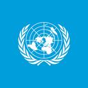Discord Model United Nations Discord Server Banner