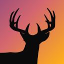 theHunter Sin Fronteras Discord Server Banner