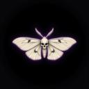 Morbid Curiosity Discord Server Banner