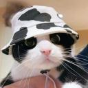 Anew Discord Server Banner