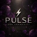 ⚡ Pulse | EDM Community Discord Server Banner