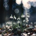 Hózhó Discord Server Banner