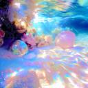 ━━━━⊱🌊𝙏𝙝𝙚 𝙍𝙚𝙚𝙛🐬⊰━━━━ Discord Server Banner