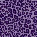 Nocturnal Gaming Discord Server Banner