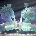 BiochemCord Discord Server Banner