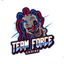 Team Force Gaming Discord Server Banner