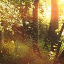 Pretty Souls Discord Server Banner