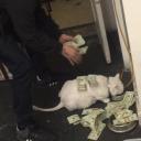 KaiZen Operator HUB Discord Server Banner