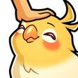 Birb Haven Discord Server Banner
