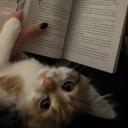 Clawster! Discord Server Banner