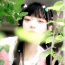 sequoia Discord Server Banner