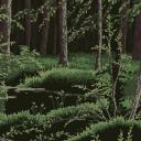 Waves of Fate: WCRP Discord Server Banner